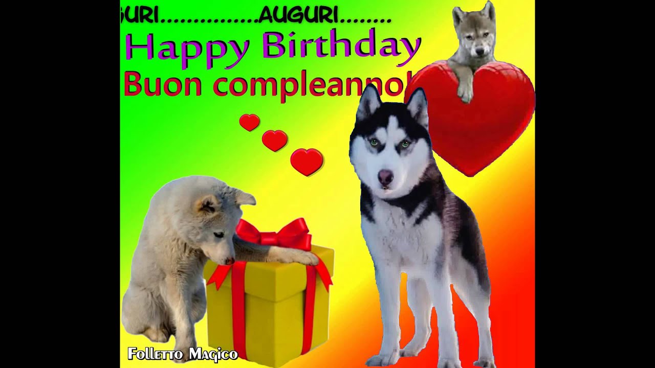 Buon Compleanno Tanti Auguri A Te Happy Birthday To You Cani Parlanti Wolf Talking Youtube