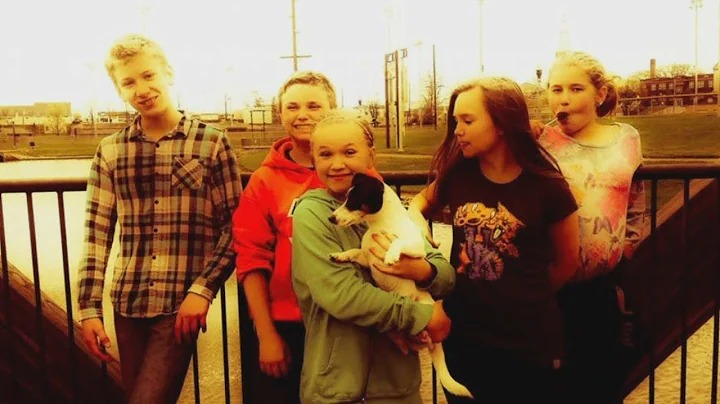 Police investigating after Greendale family's dog ...