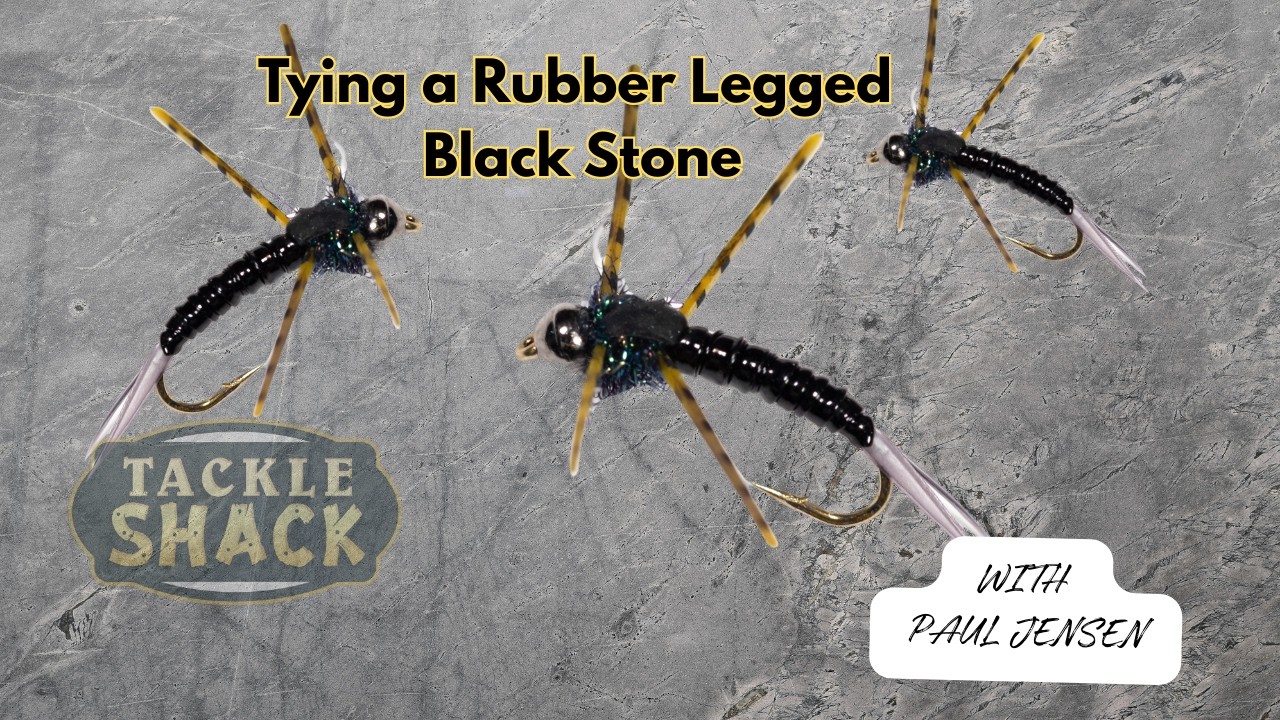 Tying a Black Stonefly Nymph - Fly Tying Tutorial