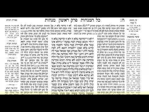 דף היומי מנחות דף ט