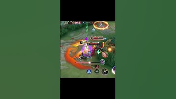 Xborg True Damage