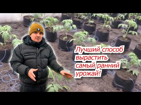 Попробуйте выращивание овощей в теплице "в пакетах"- отличный способ!