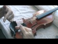 Resurrect a Fallen Bridge on your Violin or Viola