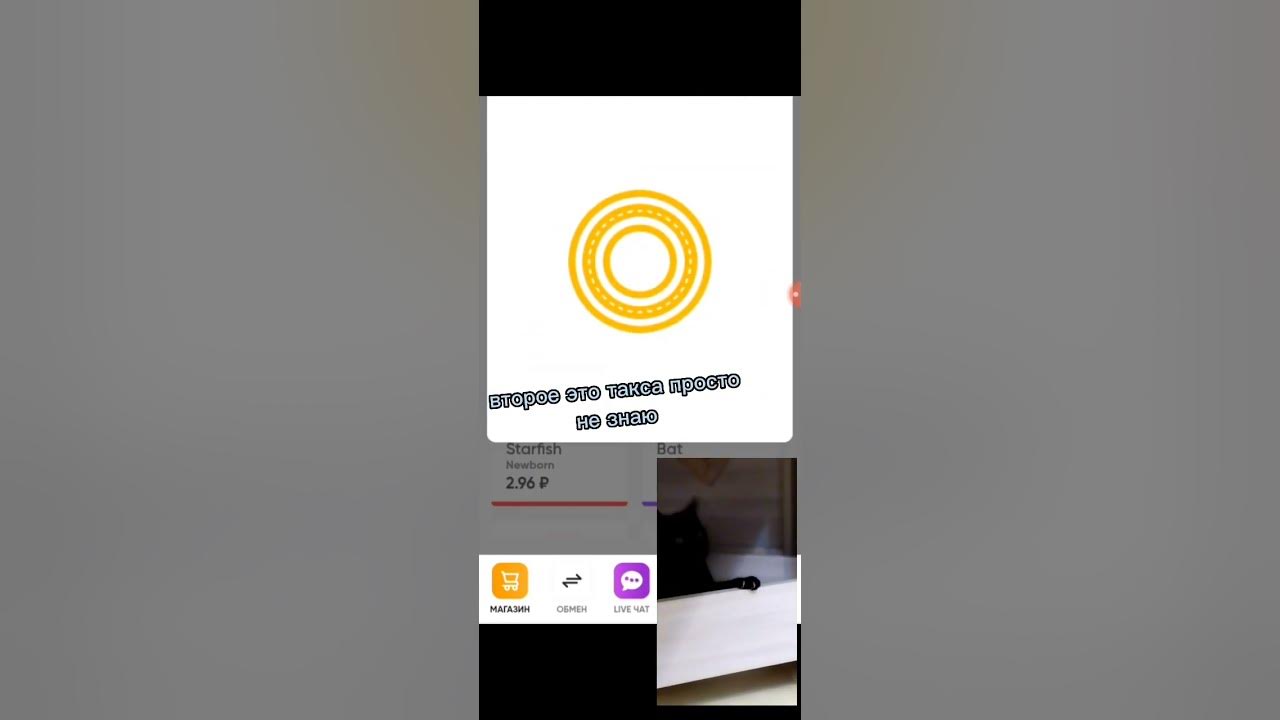 стар петс - YouTube