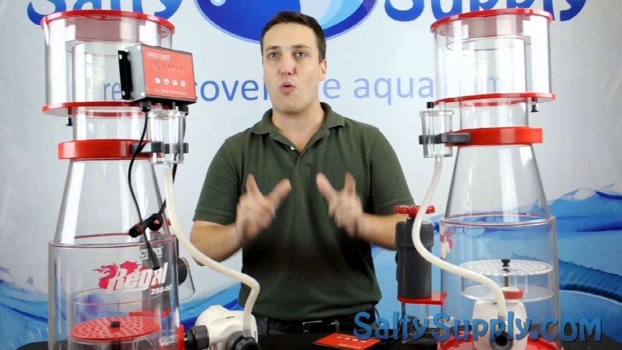 product spotlight reef octopus