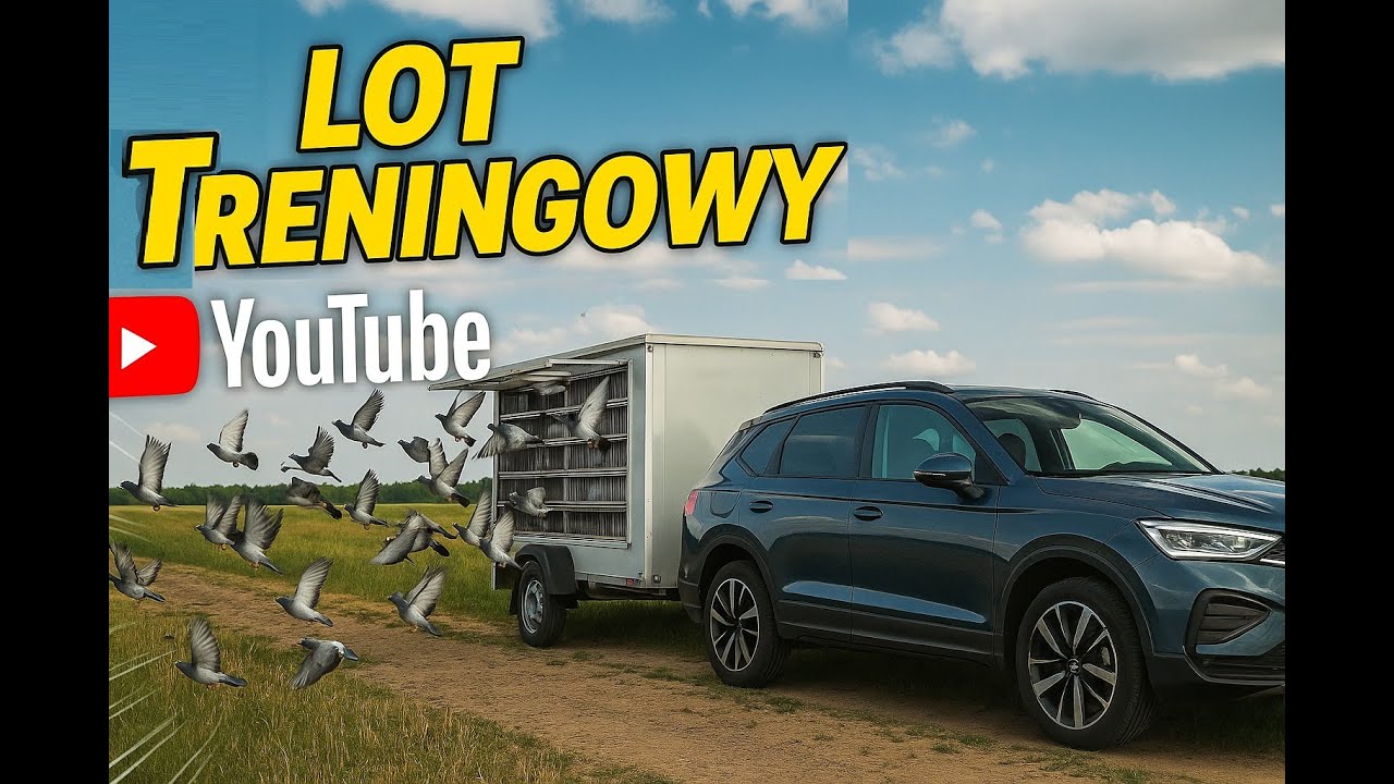 Mój kolejny lot treningowy, 211 gołębi - 70 km, -- Zbigniew Kukułka TV