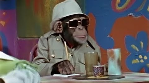 Lancelot Link E12 The Dreaded Hong Kong Sneeze