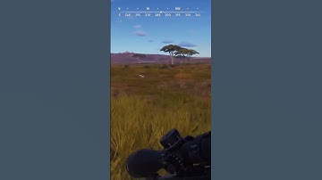 Literally two birds with one stone(Bullet)/way of the hunter #shorts #wayofthehunter #funny #gaming