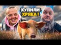 КУПИЛИ ХРЯКА ! ОТКРЫВАЕМ СВОЮ СВИНО ФЕРМУ !