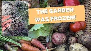 I forgot I filmed this... Frost, Harvests, and Thanksgiving Dinner