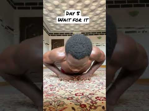 1000 daily push up (2 weeks result)