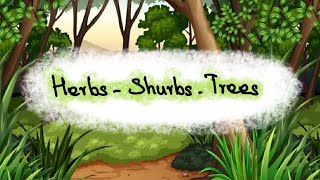 Types of Plants Part 1 | Herbs Shrubs Trees | Learn to Remember