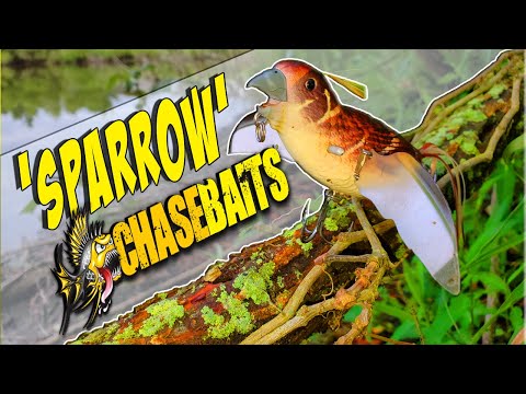 Topwater Bass Fishing Chasebaits Smuggler (Sparrow) - GIANT BIRD LURE !!! 