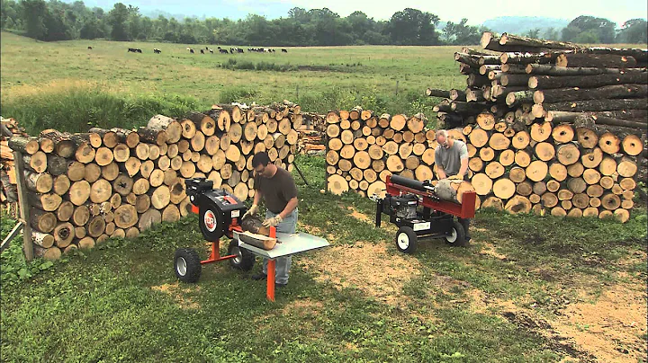 Split Off! DR RapidFire vs. 34-Ton Hydraulic Wood Log Splitter - DayDayNews