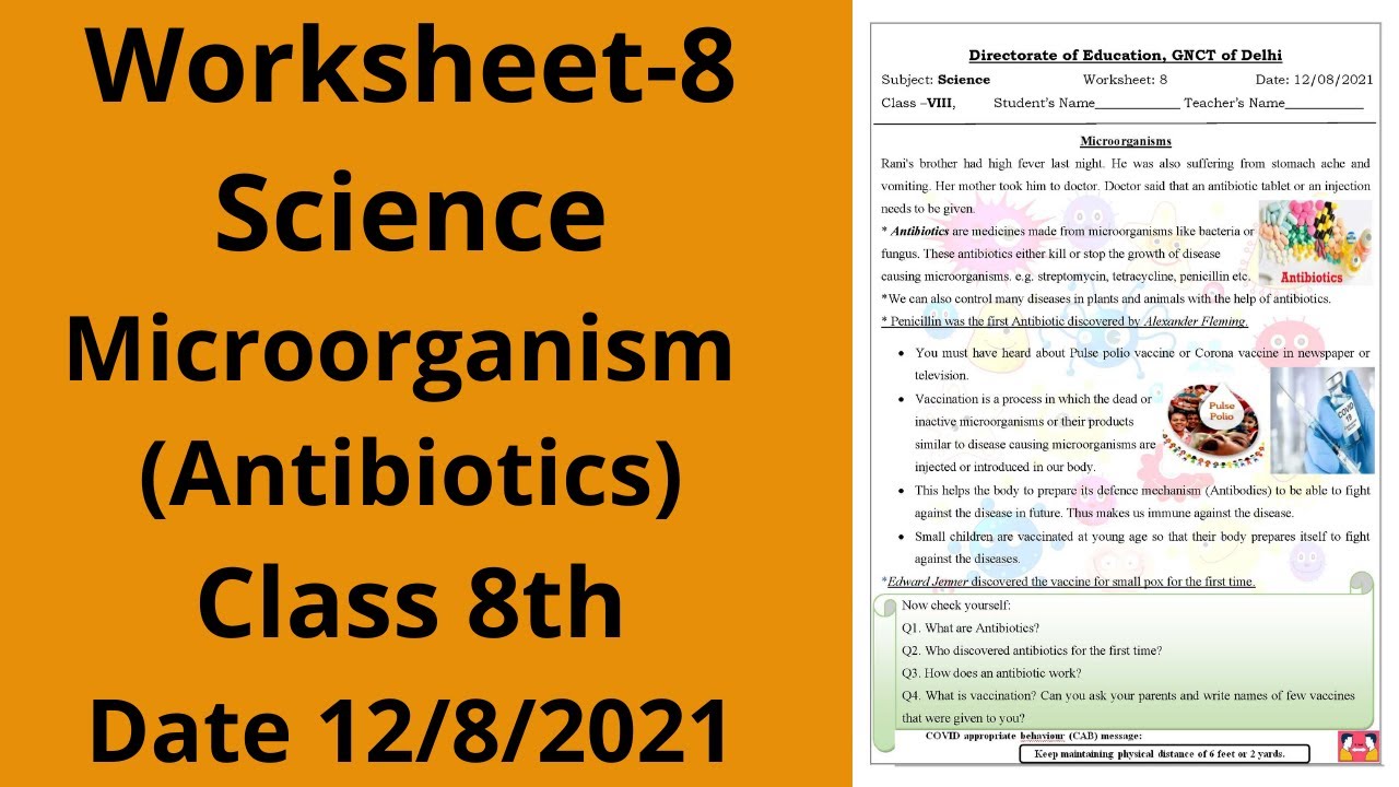 worksheet-8-science-class-8-12-8-21-english-med-worksheet-science-class-8-science-worksheet-8