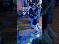 افراح سبها المنشيه افراح سبها المنشيه