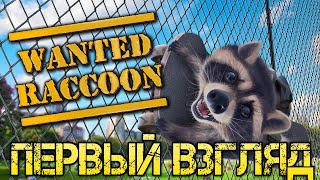 Wanted Raccoon Прохождение на русском Первый взгляд и обзор