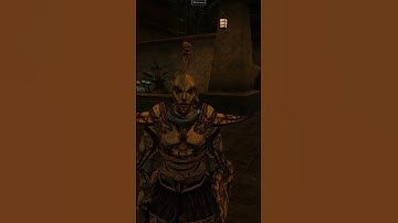 Morrowind: Rude Guard