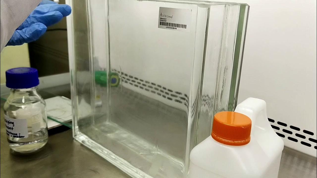 BP265 Prac II Detection of steroid sample using TLC method YouTube