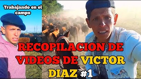 Hay mas perros que ganado jajaja