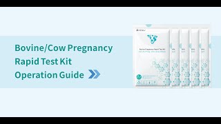AniEasy - Bovine pregnancy rapid test [1 Pack]