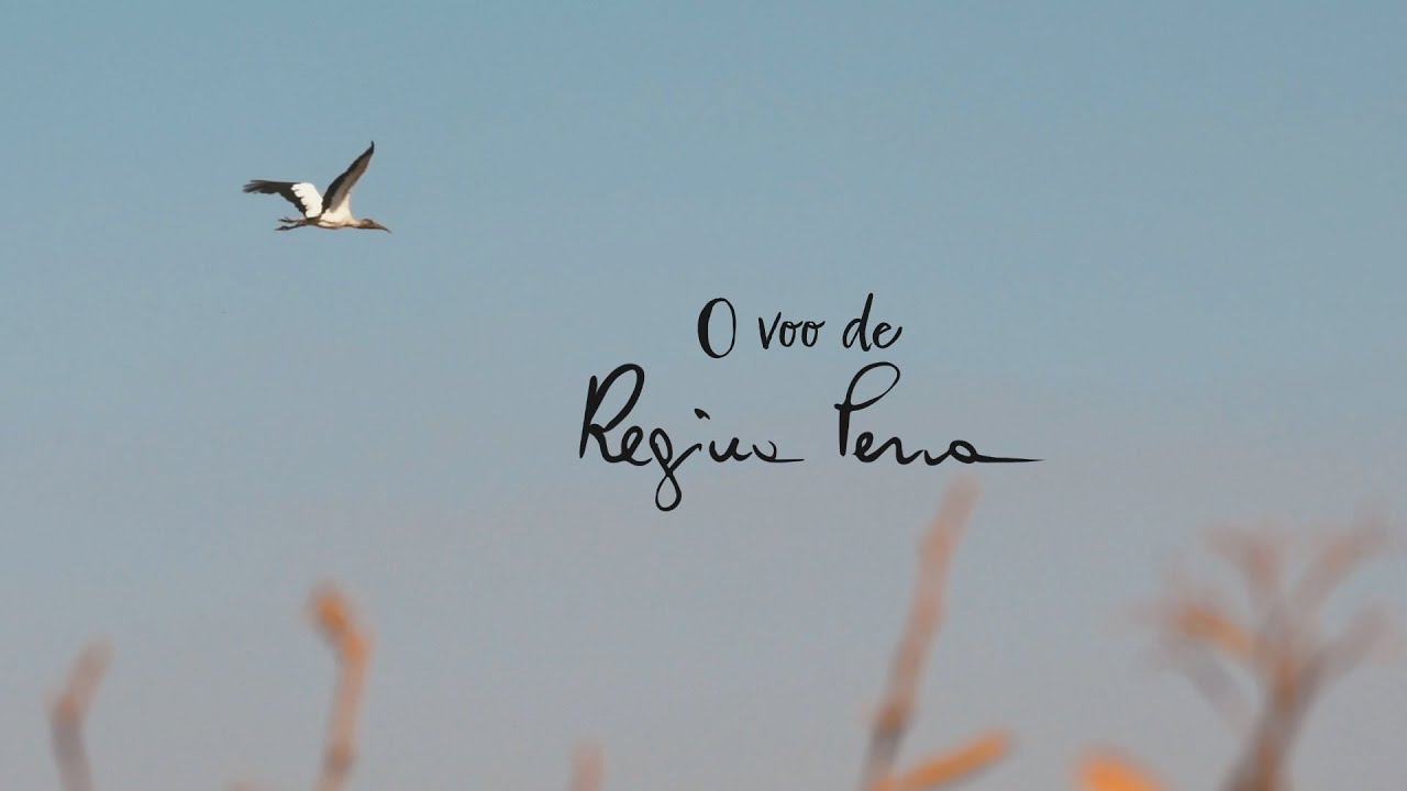 O VOO DE REGINA PENA - TRAILER