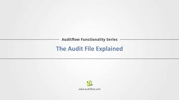 The Audit File Explained