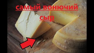 Самый вонючий сыр в мире. Вье булонь.