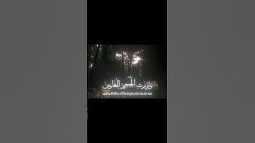 #تلاوة_خاشعة #foryou #القرآن_الكريم #ياسر_الدوسري #سورة_المؤمنون #اكسبلور #المصحف #لايك #ارح_سمعك