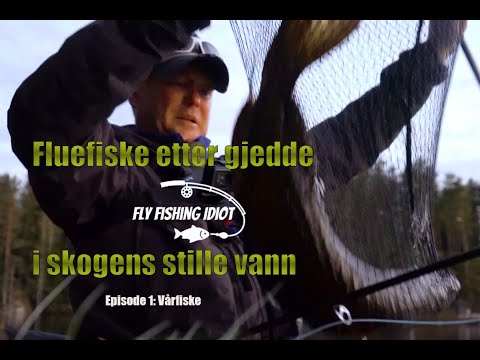 Video: Hvordan Fiske I Stille Vann