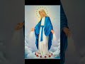 مستحيل اقبل في حقك اي كلمه العذراء مريم العذراء مريم يسوع المسيح Fyp Foryou F Jesuslovesyou