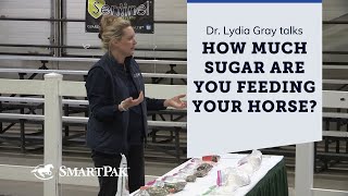 How much sugar are you feeding your horse?