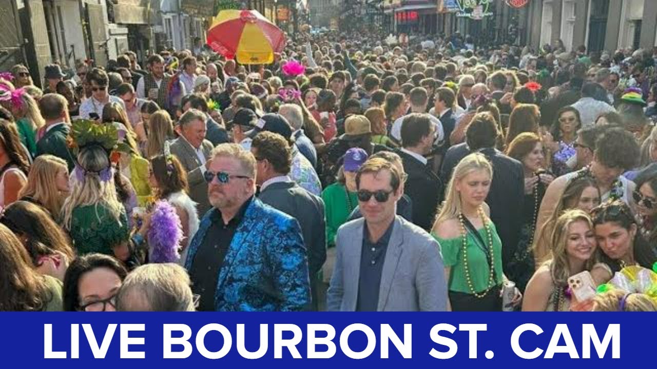 mardi gras 2025 live stream