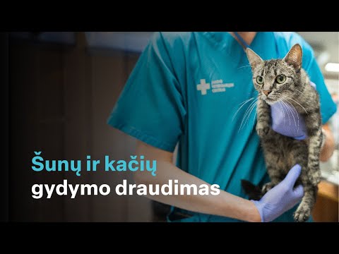 Video: Gyvūnų Augintinių Draudimo Alternatyvos