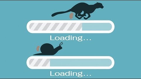 WP Optimiser Review Demo Case Study