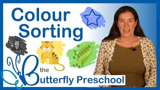 Colour shorting for toddlers | Montessori teaching methods Net Worth