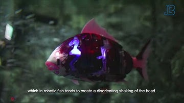 Anal fin makes robotic fish less shaky