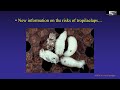 Norman Carreck - “What’s new in the world of honey bee conservation?”