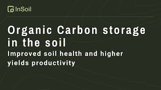 Carbon Farming On Jolantas Farm Insoil