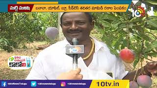 మయజక మమడ.. కల ధర ర. 2లకషల 70వల Profits In Miyazaki Mango Fruit Matti Manishi 10Tv