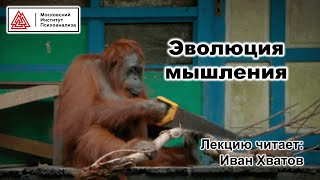 07. Мышление животных