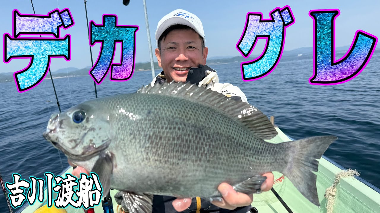 デカイグレが釣れる船釣り、教えます【吉川渡船】