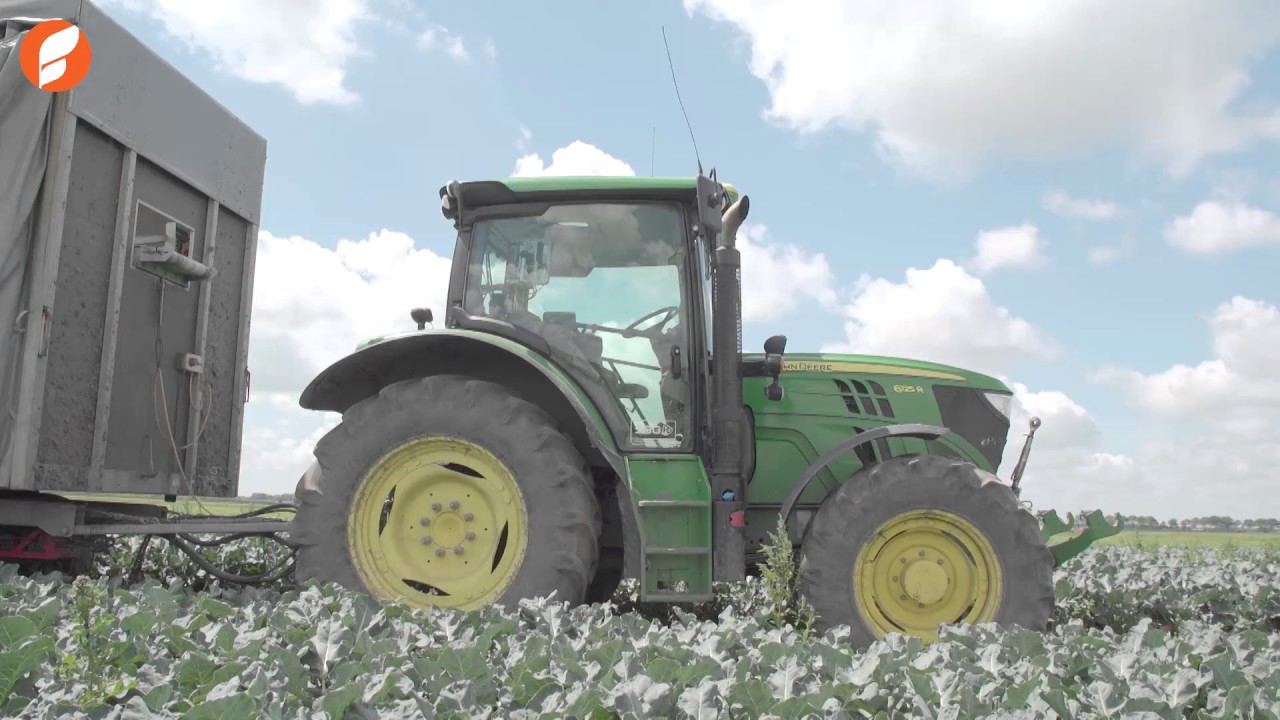 Een kijkje achter de schermen bij een broccoli-teler