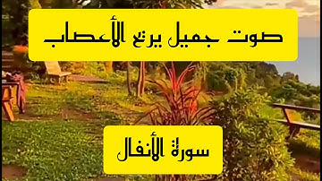 سورة الانفال بصوت جميل ومريح للأعصاب