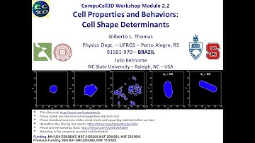 CC3D WS 2.2: Controlling Cell Properties, Behaviors and Shapes [Gilberto Thomas] July 30, 2024