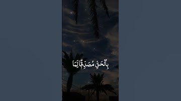 #آية_الكرسي #بصوت_القارئ #عبدالرحمن_مسعد #قرآن #اكسبلور