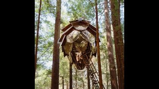 Pinecone II