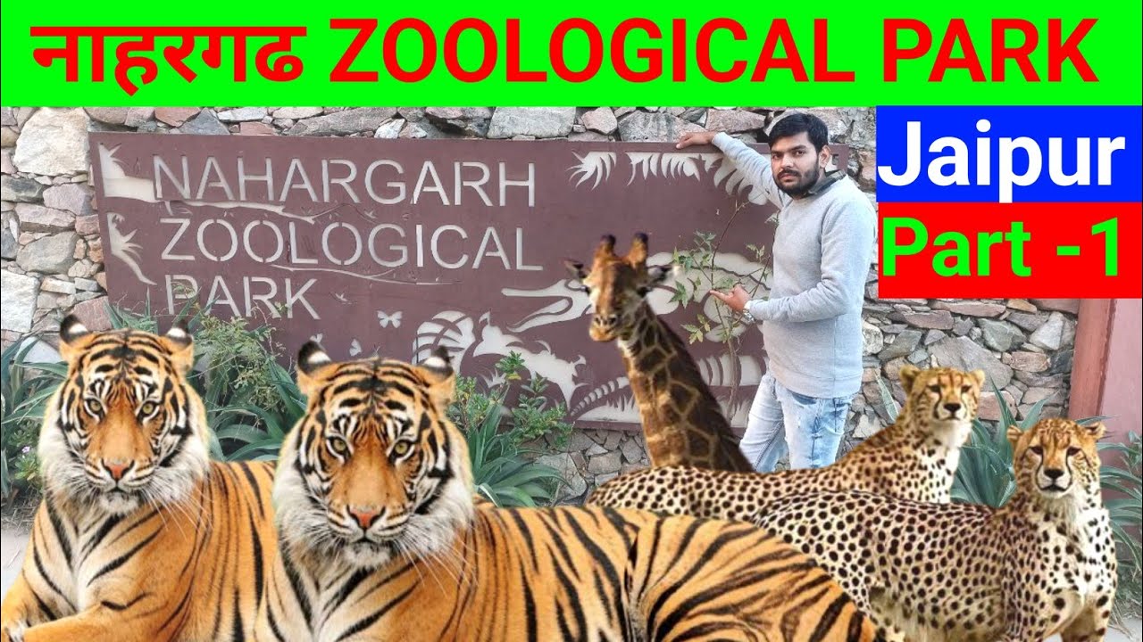 JAIPUR ZOO नाहरगढ़ बायोलॉजिकल पार्क NAHARGRAH BIOLOGICAL PARK