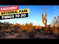 Saguaro national park  18 top things to do  9 essential tips