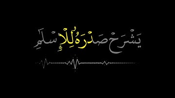 فمن يرد الله ان يهديه يشرح صدرهُ للاسلام// القارئ ماهر المعيقلي / سورة الانعام / بأحسن واجود التلاوة